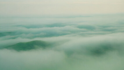 Fototapeta premium green paper background