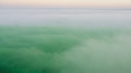 Obraz premium green paper background