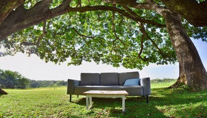 큰 나무 아래 대화를 할 수 있는 소파와 테이블이 놓여있다
