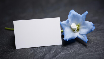 Condolence card and white flower on dark stone surface. Mock-up. Close-up.