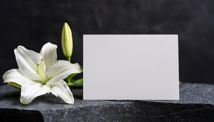 Condolence card and white flower on dark stone surface. Mock-up. Close-up.