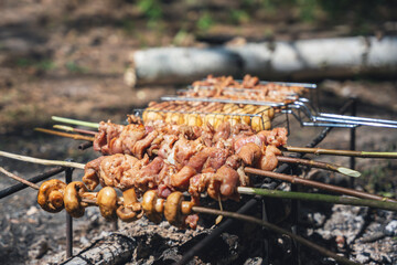 Meat shashlik and mushrooms on branches instead of skewers are fried over coals