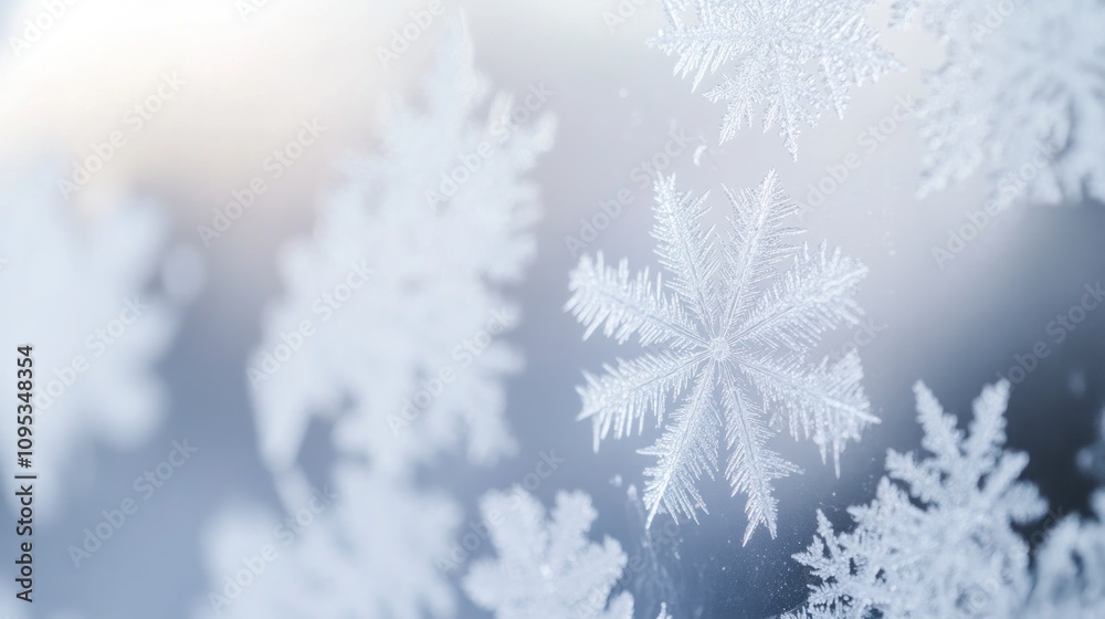 Poster delicate snowflakes adorned on a frosted windowpane