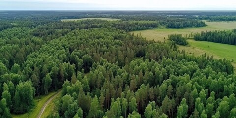 Aerial View of Lush Green Forest and Fields
