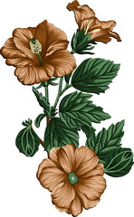 orange and yellow flowers vector art