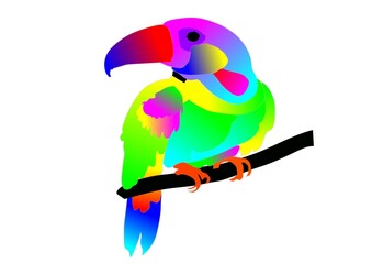 blue and yellow macaw on a branch