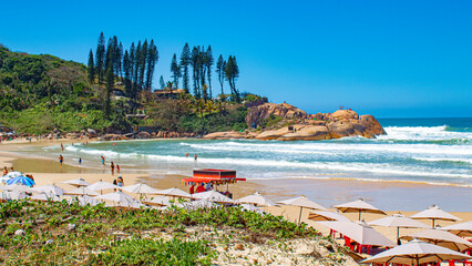 Obraz premium praia tropical brasileira Florianopolis praia da Joaquina SC BR