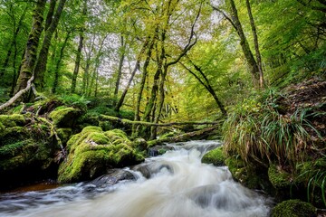 Flowing water Gorges de la Canche Morvan France