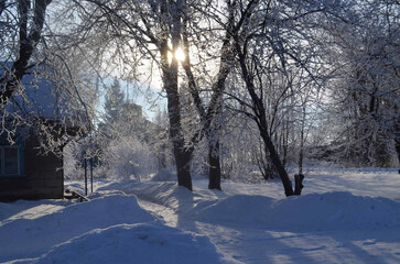 Winter. We observe paths covered with snow, trees in frost and a bright sky.
