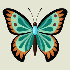 butterfly on white background