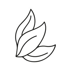 Hand drawn simple leaves, herb foliage. Linear doodle clipart