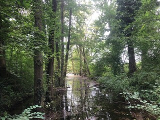 Entw&auml;sserungskanal