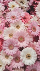Bunch of pink and white flowers