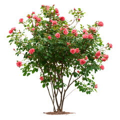 tree with flowers