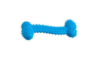 blue bubble-shaped rubber bone dog toy