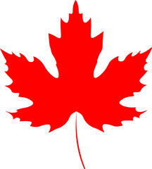maple leaf canadian maple