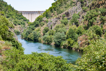 Fototapeta premium Leaves and green vegetation on the banks of the river Zêzere with the Cabril dam in the background, Pedrogão Grande PORTUGAL