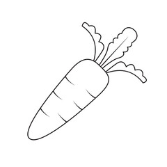 Vector icon of carrot on white background.  Minimalistic illustration of vegetable for design, coloring and decorative purposes.