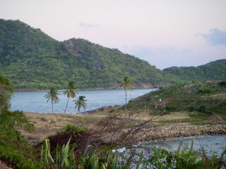 Obraz premium Idyllic tropical bay surrounded by hills and palm trees.