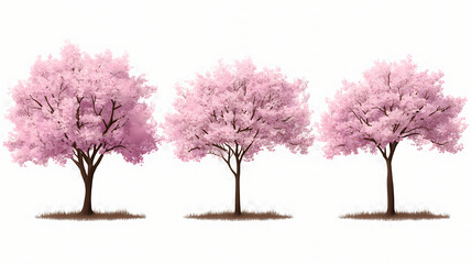 Naklejka premium cherry lagerstroemia