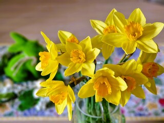 Spring flowers daffodils on the table.