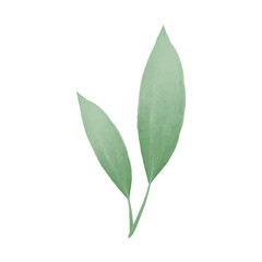 Green watercolour leaves. Elegant botanical vector illustration.