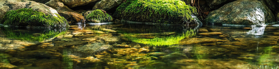 Obraz premium A crystal clear stream flows past mossy rocks, mirroring the serene landscape.