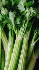 Obraz premium Fresh green celery with slender leaves and white vertical stripes captured in natural light through macro photography