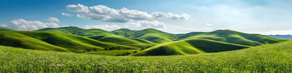 Obraz premium Verdant Hillscape: Lush green hills stretch to the horizon, dotted with wildflowers.