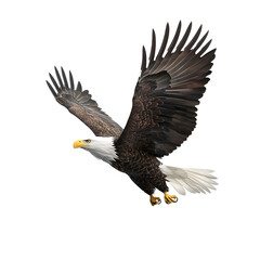 Fototapeta premium American bald eagle flying spreading wings on transparent background
