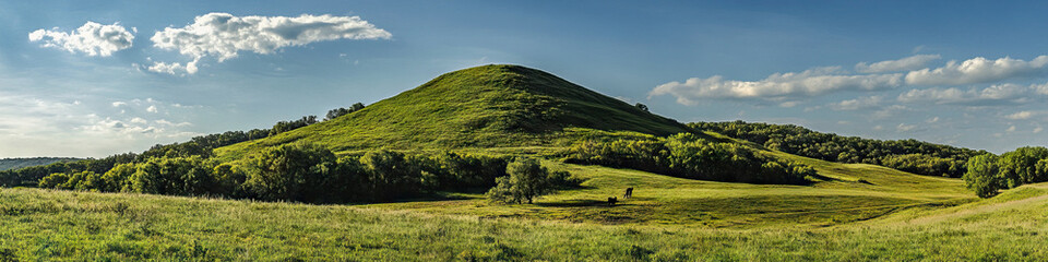 Obraz premium Majestic Mounds: Grand hills, towering above the landscape, dotted with majestic trees and wildlife.