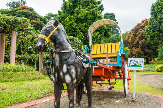 A horse and a kalesa as a display in Eden Nature Park in Davao City Philippines
