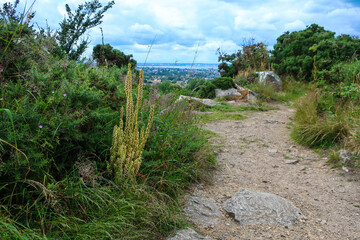 Nature Path with Coastal View