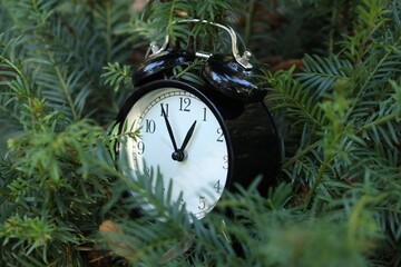 Alarm clock on beautiful green branches, closeup