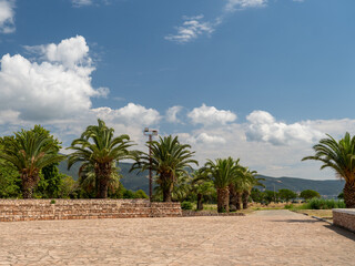 Lush green palm trees line a paved pathway in a serene park, with fluffy clouds drifting across a vibrant blue sky and mountains in the distance.