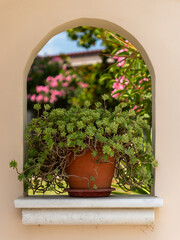 A lush green succulent is showcased in a terracotta pot resting on a ledge. Vibrant pink flowers bloom outside, adding color to the serene setting under a bright sky.