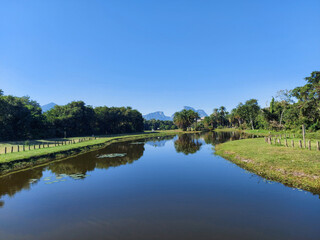 Fototapeta premium lake in the park