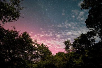 Naklejka premium Aurora borealis over Southern Arizona