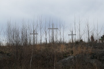 Holy Land, Waterbury CT