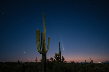 Comet C/2023 A3 (Tsuchinshan-ATLAS) over the Arizona sonoran desert