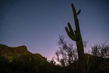 Comet C/2023 A3 (Tsuchinshan-ATLAS) over the Arizona sonoran desert