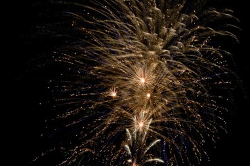 Beautiful cluster of gold fireworks bursting in night sky