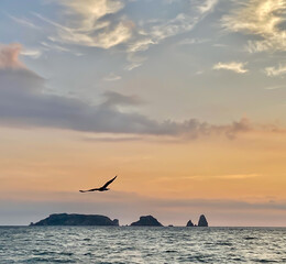 sunset in the sea