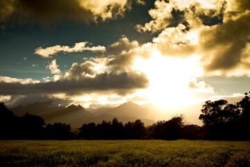 Sunset glow on field and silhouetted forest