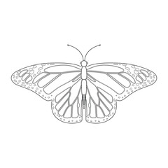 Hand drawn kids drawing butterfly cartoon isolated