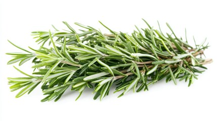 Fototapeta premium A bunch of fresh rosemary sprigs with their fragrant leaves and woody aroma, Each sprig's aromatic flavor and culinary versatility captured with precision