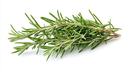Fototapeta premium A bunch of fresh rosemary with its fragrant green needles and woody stems, Each sprig's aromatic scent and vibrant color captured with precision