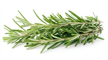 Fototapeta premium A bunch of fresh rosemary with its needle-like green leaves and woody aroma, Each sprig's robust flavor and culinary versatility captured with precision