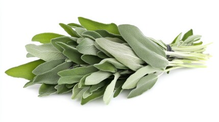 Obraz premium A bunch of fresh sage with its soft gray-green leaves and aromatic scent, Each leaf’s earthy flavor and culinary versatility captured with precision