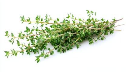 A bunch of fresh thyme with its tiny green leaves and earthy aroma, Each sprig's aromatic flavor and culinary versatility captured with precision